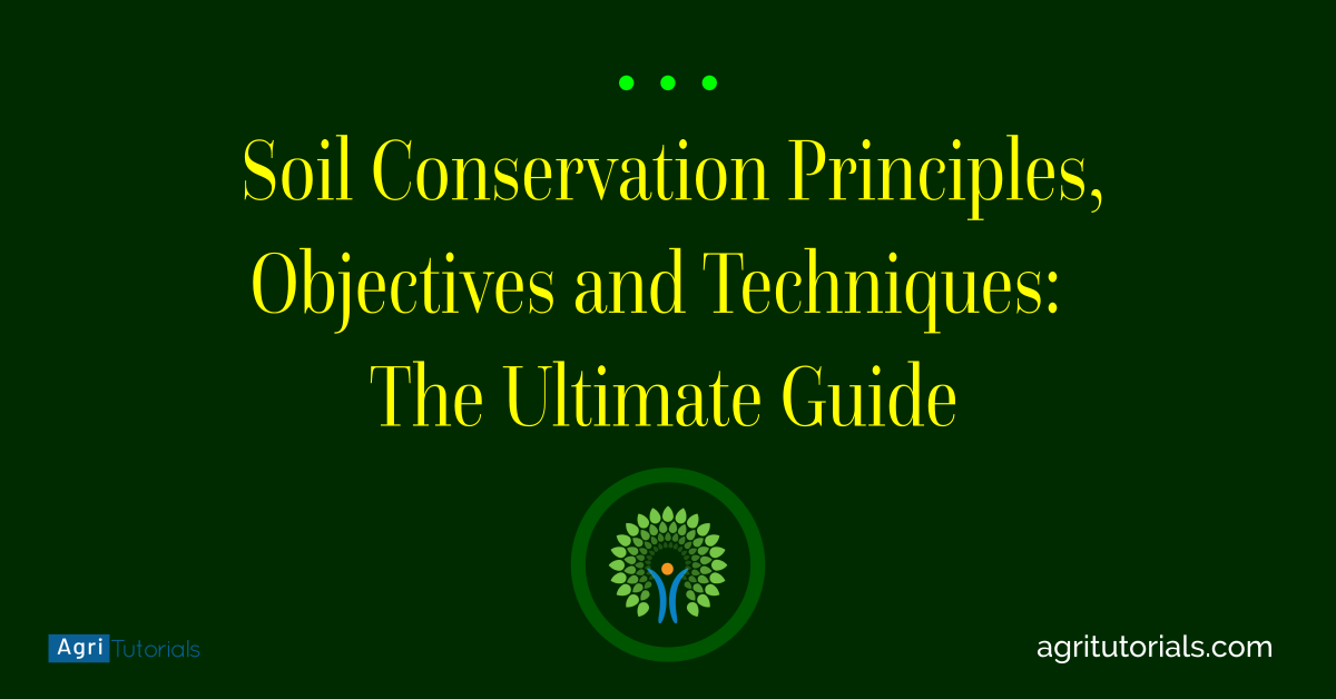 Soil Conservation Principles, Objectives and Techniques The Ultimate Guide